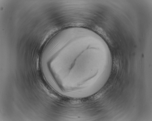 X0000088370110200706191253