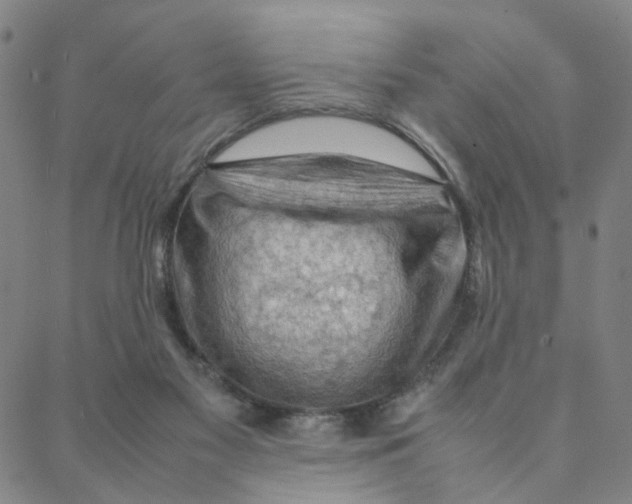 X0000088370117200706191253
