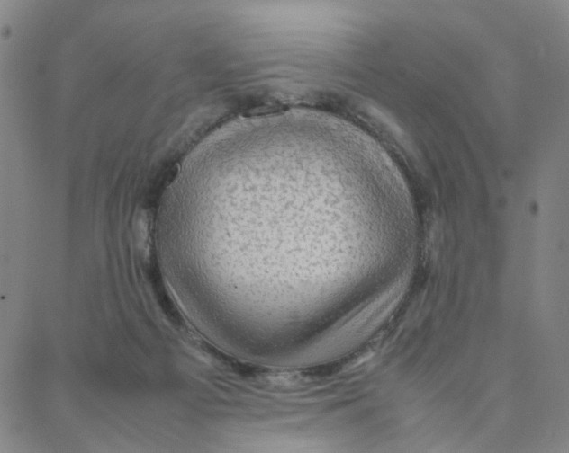 X0000088370121200706191253