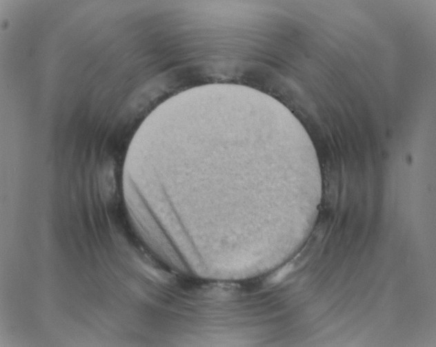 X0000088370128200706191252