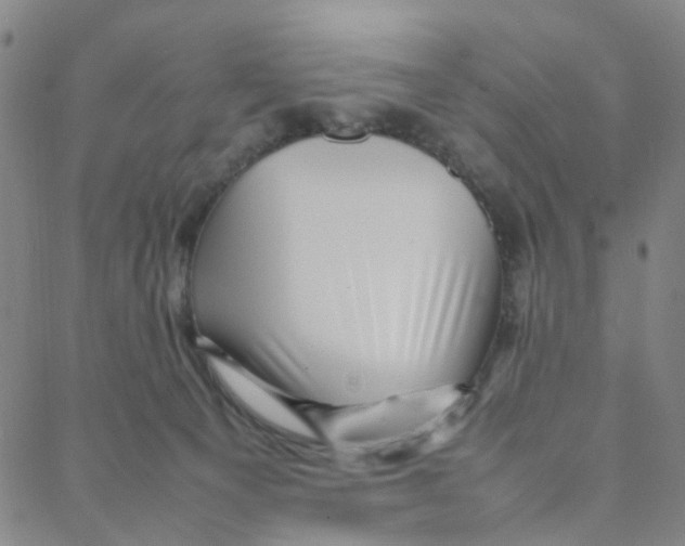 X0000088370129200706191252