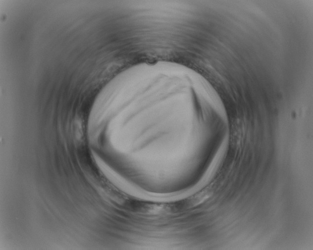 X0000088370130200706191252