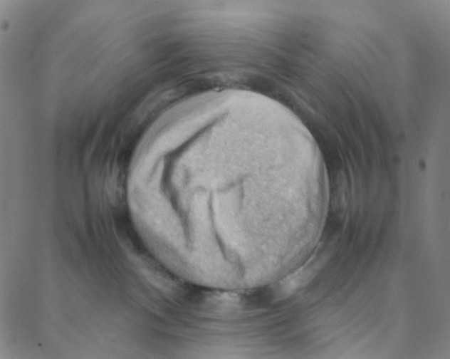X0000088370140200706191252