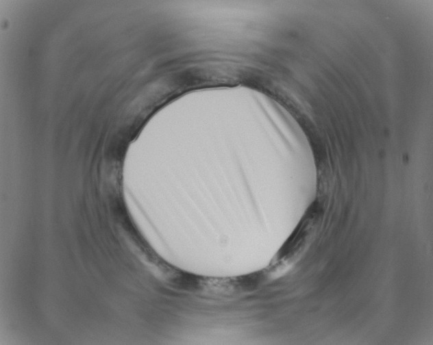 X0000088370141200706191252