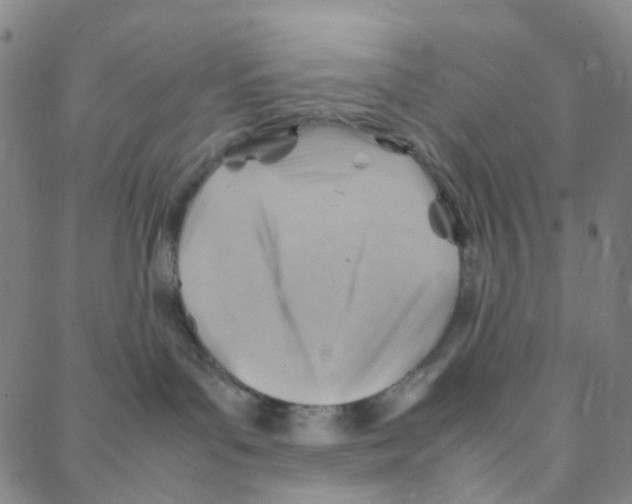 X0000088370143200706191252