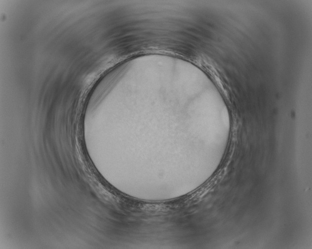 X0000088370145200706191251