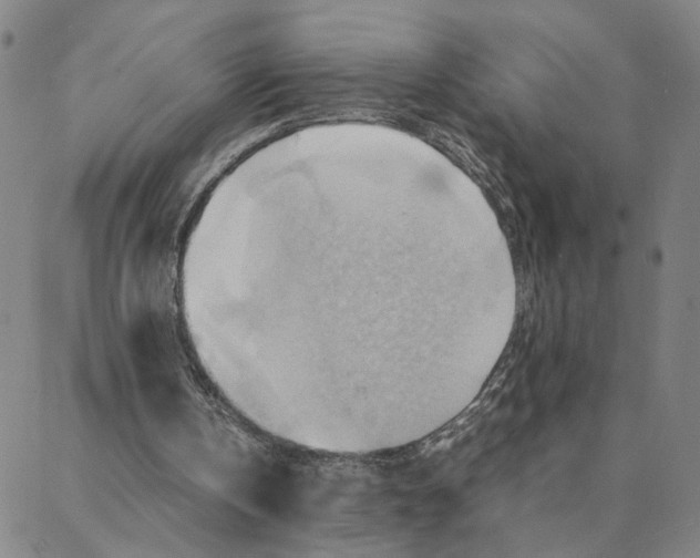 X0000088370146200706191251