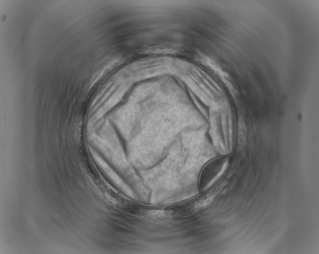 X0000088370153200706191252