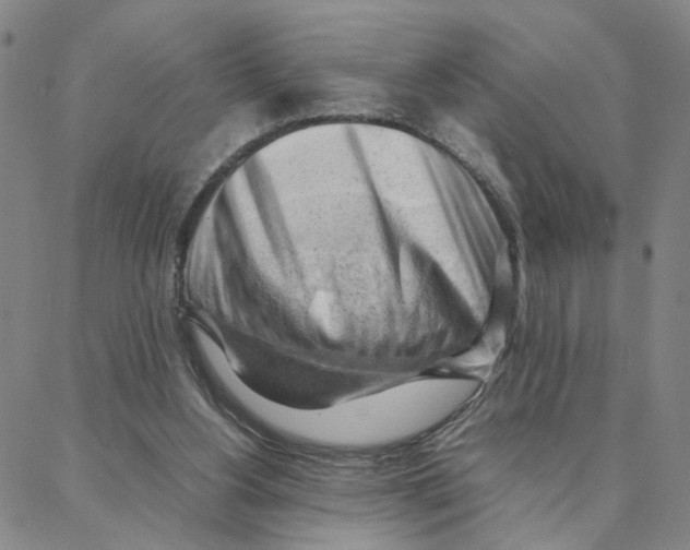 X0000088370156200706191252