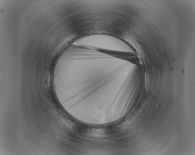 X0000088370157200706191252