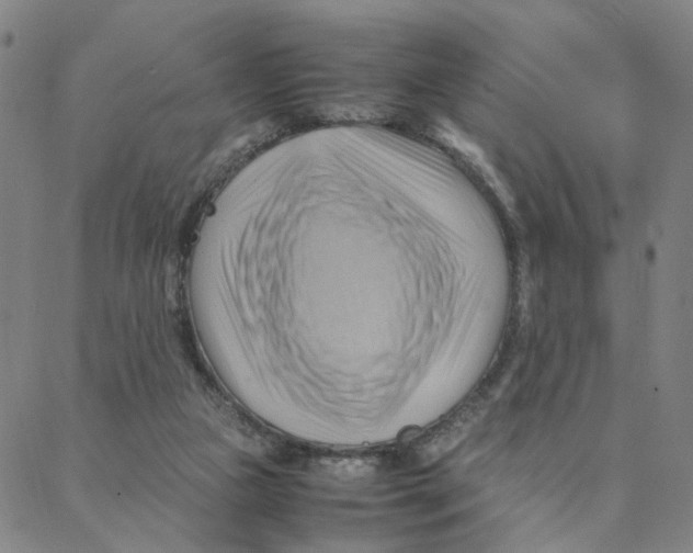 X0000088370161200706191252