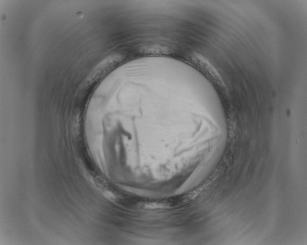 X0000088370163200706191252