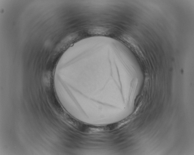 X0000088370167200706191252