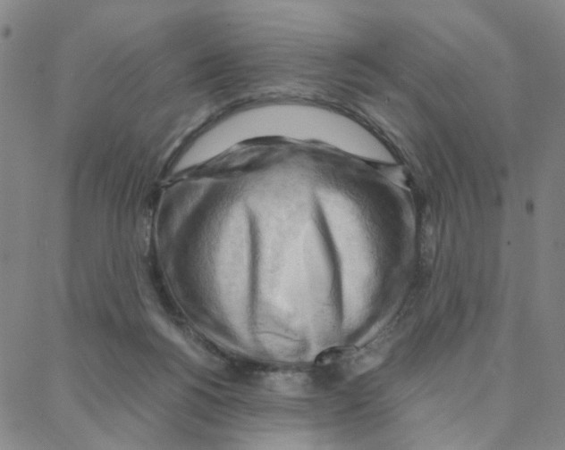 X0000088370168200706191252