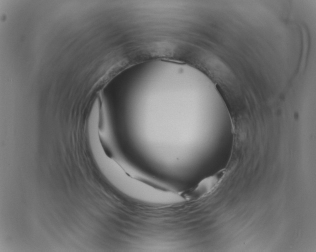 X0000088370172200706191252