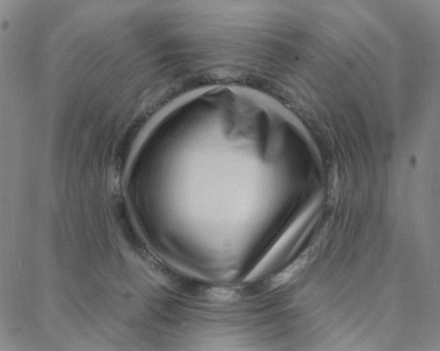X0000088370176200706191252