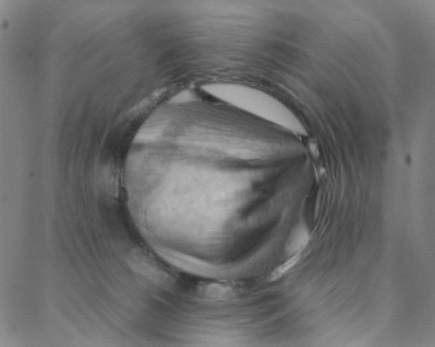 X0000088370180200706191252