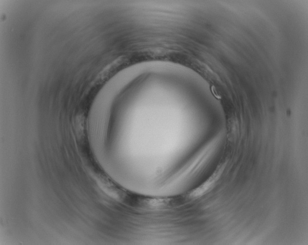 X0000088370184200706191252