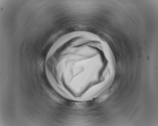 X0000088370188200706191252
