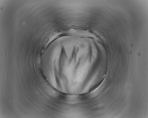 X0000088370192200706191252