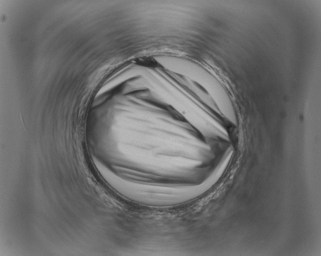 X0000088370193200706191251