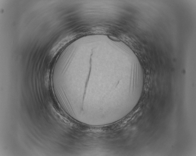 X0000088370194200706191251