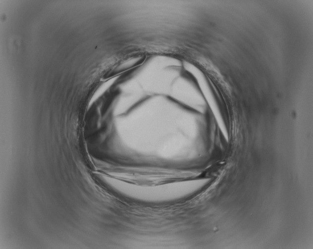 X0000088370201200706191251
