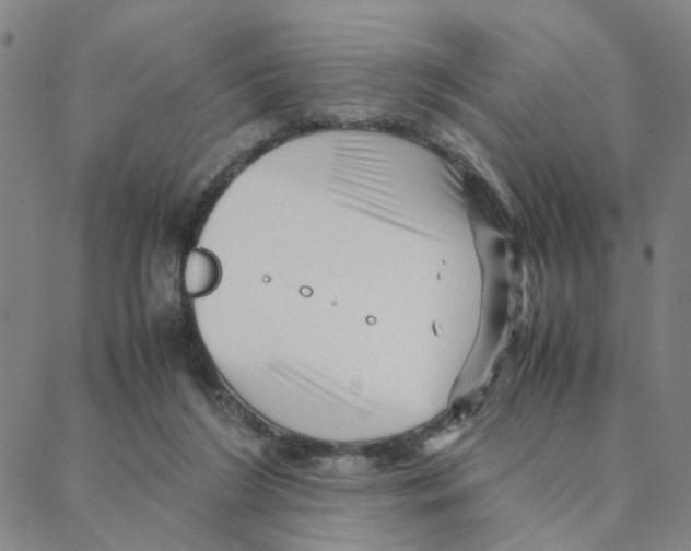 X0000088370212200706191251