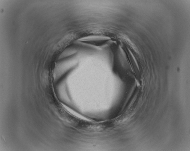 X0000088370213200706191251