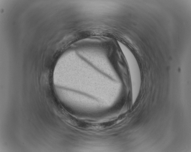 X0000088370217200706191251