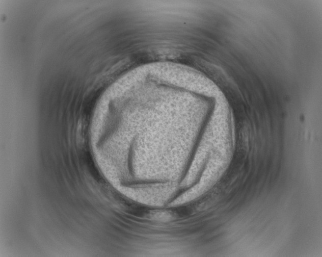 X0000088370218200706191251