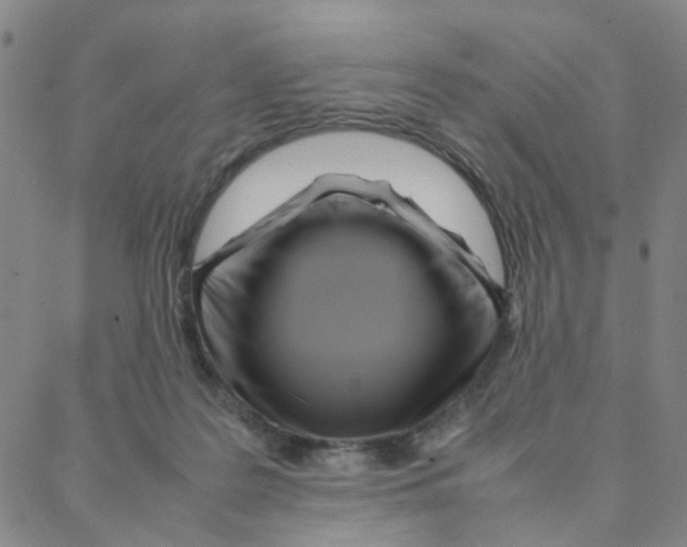X0000088370219200706191251