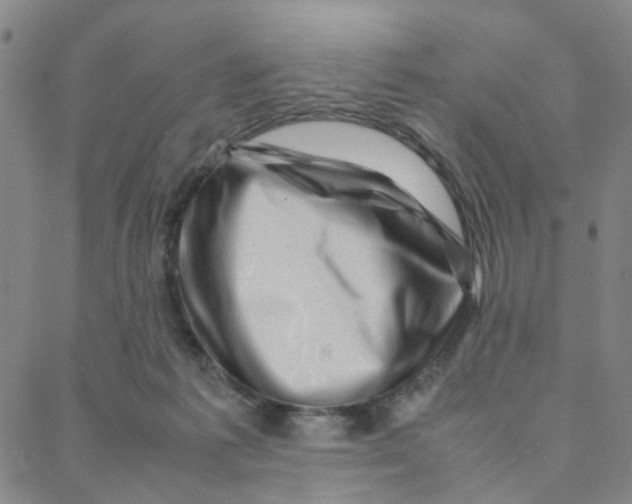 X0000088370221200706191251