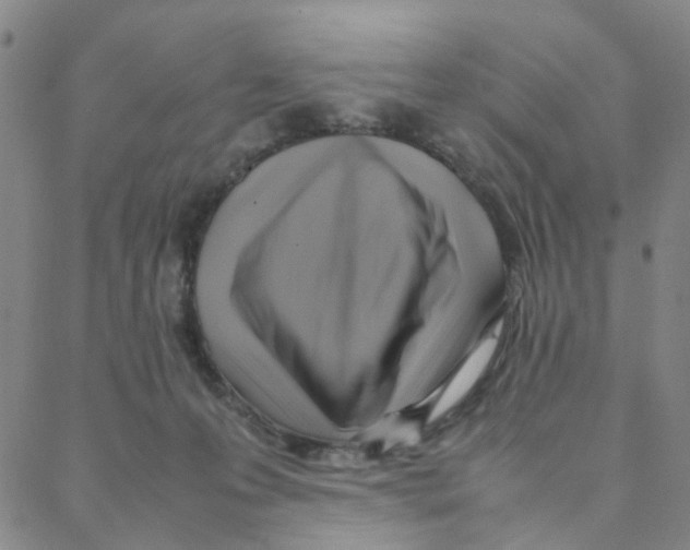 X0000088370223200706191251