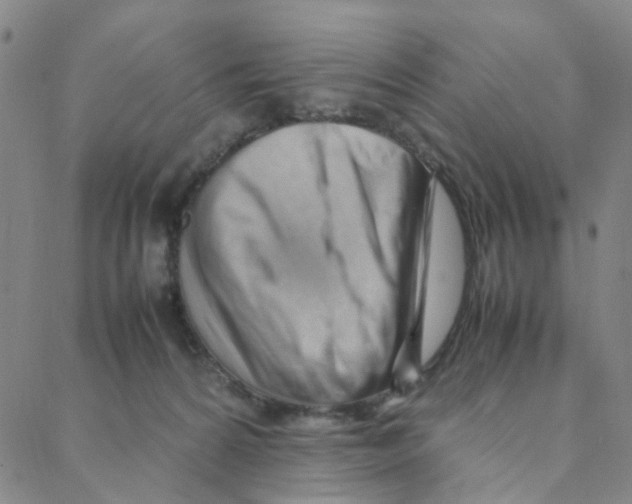 X0000088370224200706191251