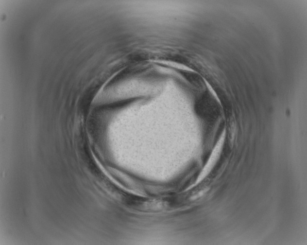 X0000088370225200706191251