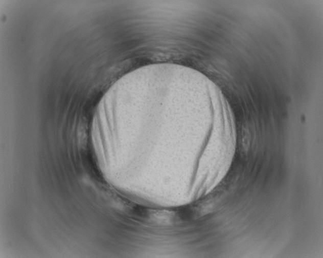 X0000088370226200706191251