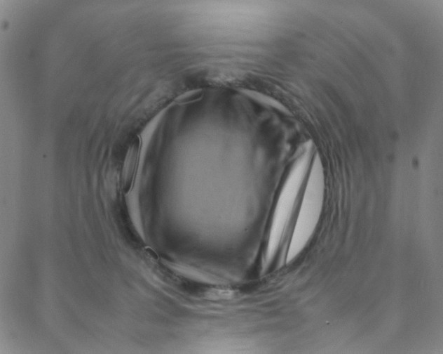X0000088370227200706191251