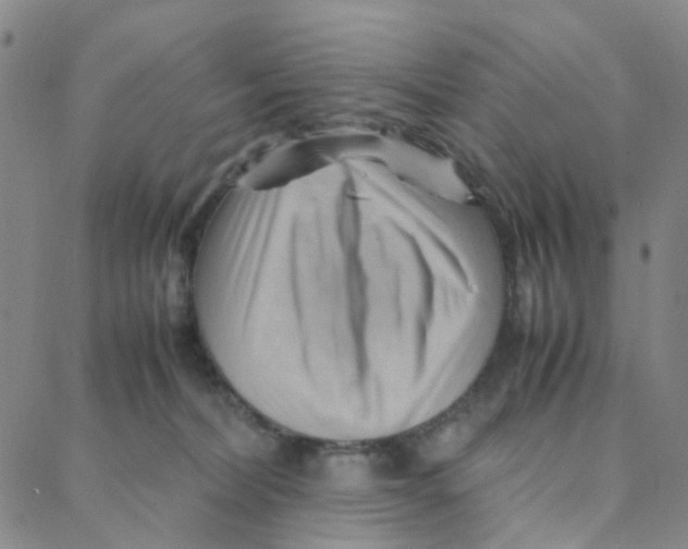 X0000088370228200706191251