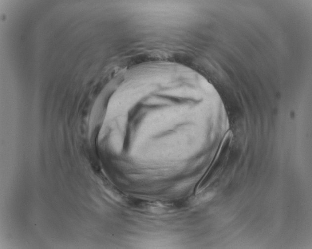 X0000088370229200706191251