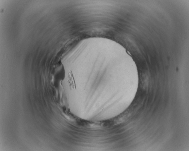X0000088370232200706191251