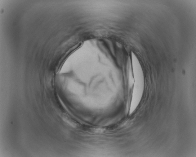 X0000088370233200706191251