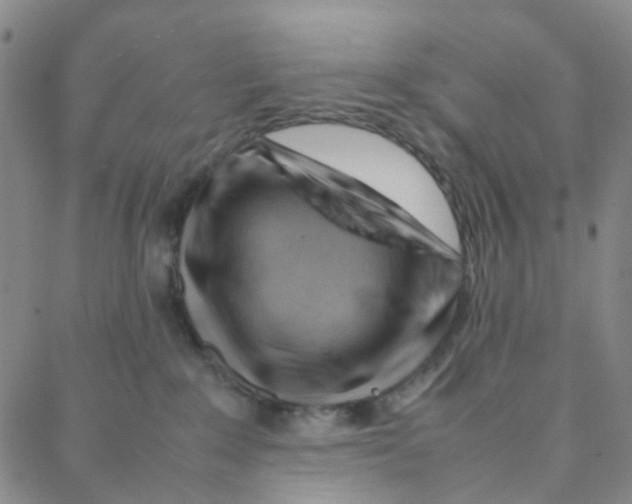X0000088370235200706191251