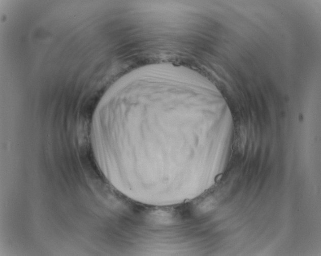 X0000088370236200706191251