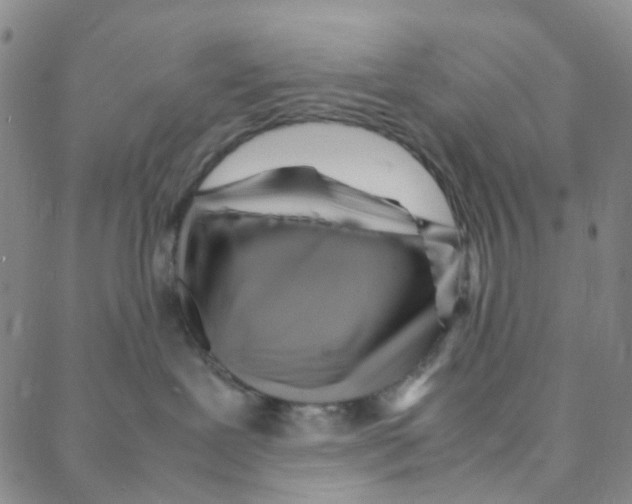 X0000088370239200706191251
