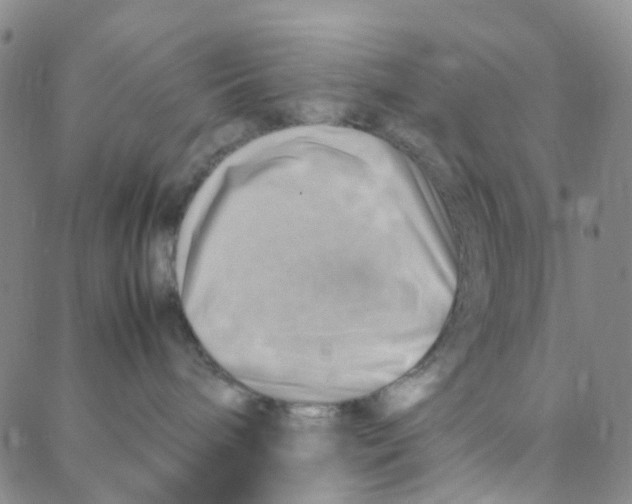 X0000088370240200706191251