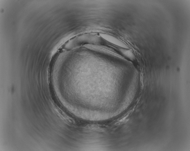 X0000088370244200706191250