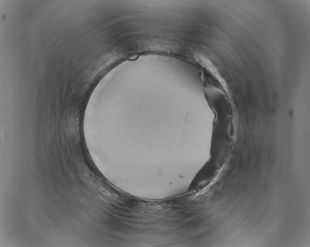 X0000088370249200706191250