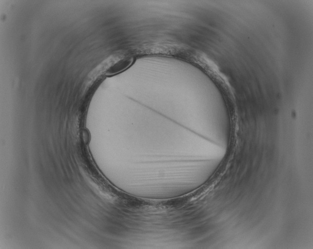 X0000088370250200706191250