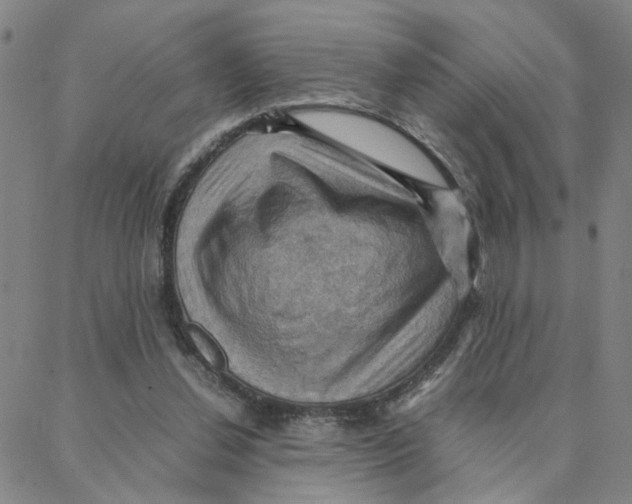 X0000088370252200706191250